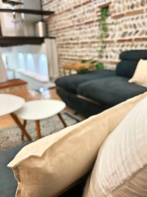 Appartement Entier - Calme Et Confortable - Centre Toulouse Apartment