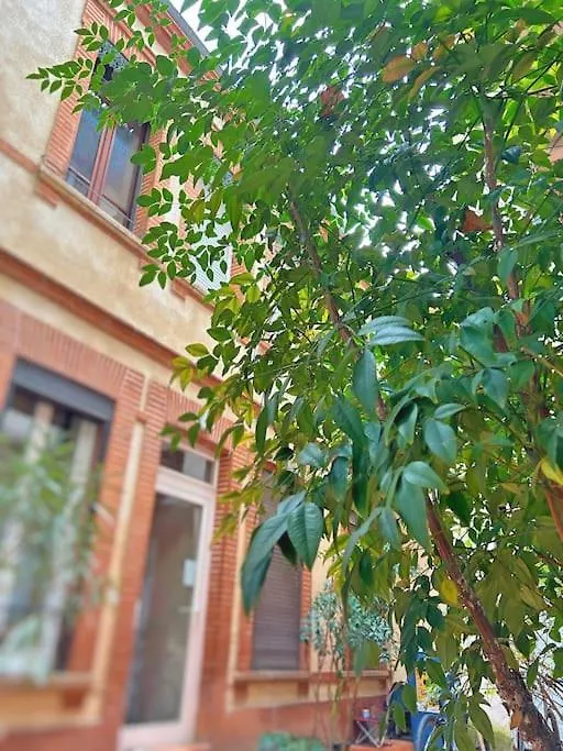 Appartement Entier - Calme Et Confortable - Centre Toulouse